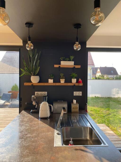 Maison D'Architecte Situee Sur La Route Des Vins Châtenois Exteriér fotografie