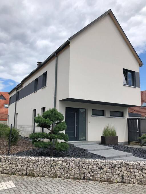 Maison D'Architecte Situee Sur La Route Des Vins Châtenois Exteriér fotografie